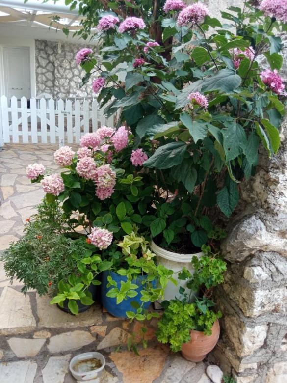 Lefki'S House Daire Drymon Dış mekan fotoğraf