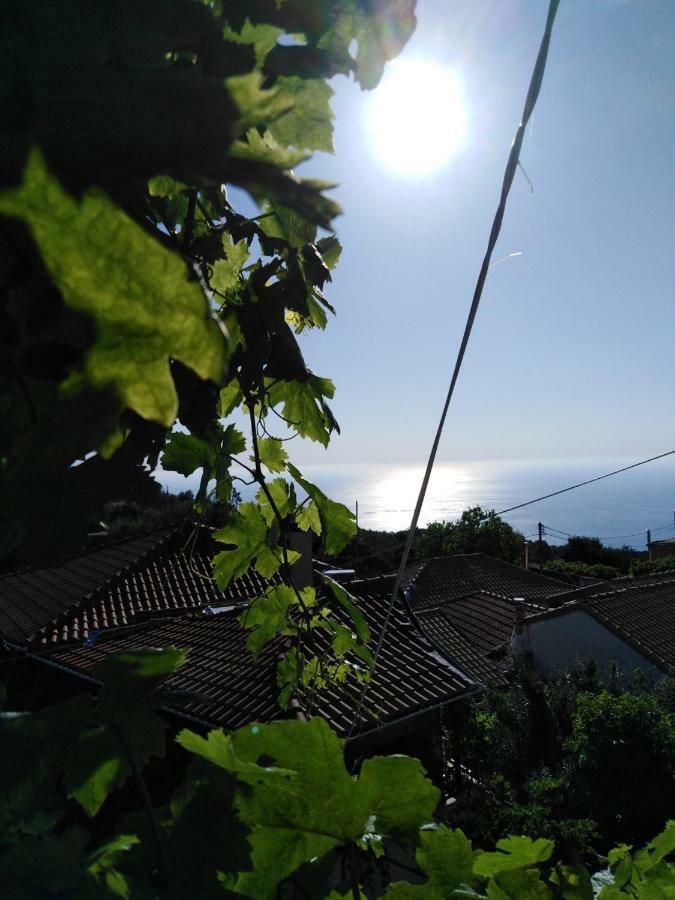 Lefki'S House Daire Drymon Dış mekan fotoğraf